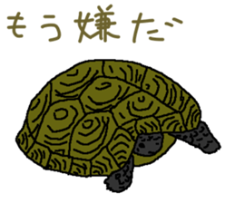turtle guide sticker #8350075