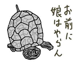 turtle guide sticker #8350076