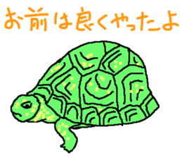 turtle guide sticker #8350079