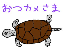 turtle guide sticker #8350080