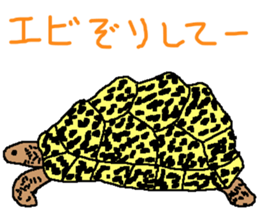 turtle guide sticker #8350081