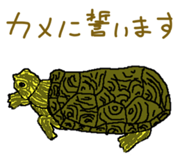 turtle guide sticker #8350087