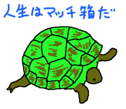 turtle guide sticker #8350088