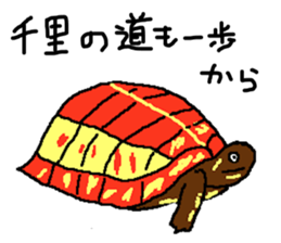 turtle guide sticker #8350089