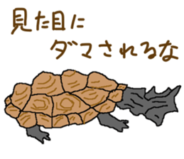 turtle guide sticker #8350091