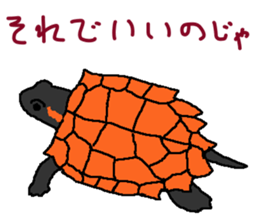 turtle guide sticker #8350094