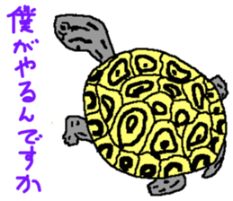 turtle guide sticker #8350095
