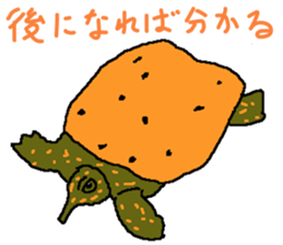 turtle guide sticker #8350096