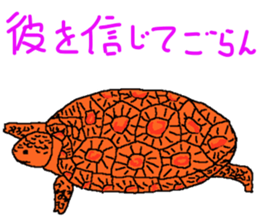 turtle guide sticker #8350097