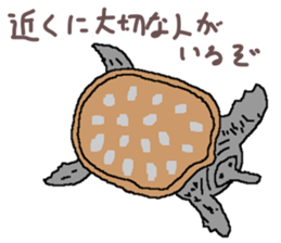 turtle guide sticker #8350099