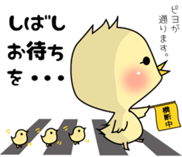 3 pigs 5 sticker #8351023