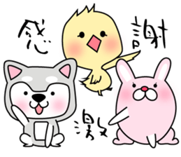 3 pigs 5 sticker #8351026