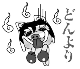 3 pigs 5 sticker #8351046