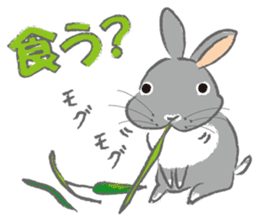 I love rabbit sticker #8351707