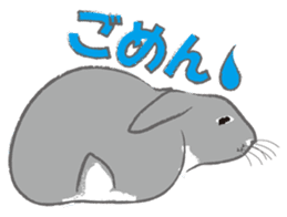 I love rabbit sticker #8351709