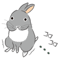 I love rabbit sticker #8351710
