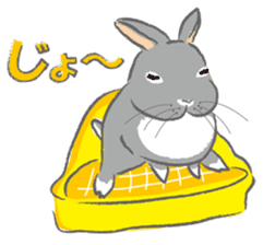 I love rabbit sticker #8351712