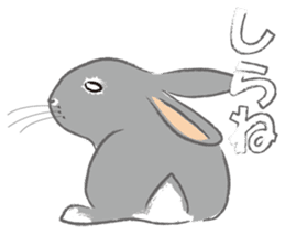 I love rabbit sticker #8351713