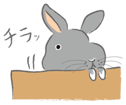 I love rabbit sticker #8351718