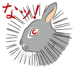 I love rabbit sticker #8351719