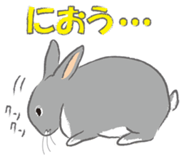 I love rabbit sticker #8351721