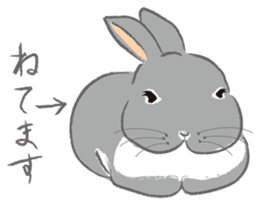 I love rabbit sticker #8351722