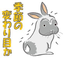 I love rabbit sticker #8351726