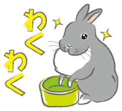 I love rabbit sticker #8351732
