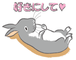 I love rabbit sticker #8351736