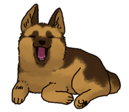 The German shepherd dog!! sticker #8352948