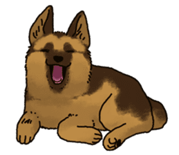 The German shepherd dog!! sticker #8352948