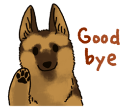 The German shepherd dog!! sticker #8352979