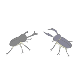 Kawaii beetle and Stag beetle sticker #8354055