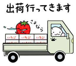 Sticker for the strawberry farmers sticker #8354866