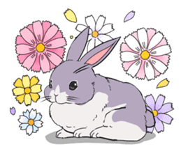 Momo the rabbit! sticker #8355900