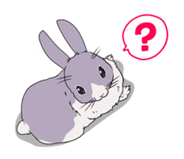 Momo the rabbit! sticker #8355902