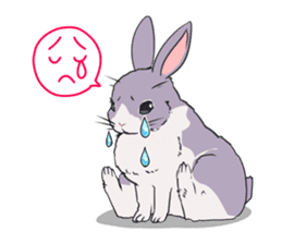 Momo the rabbit! sticker #8355904