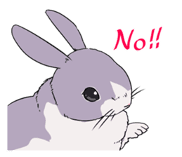Momo the rabbit! sticker #8355911