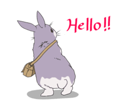 Momo the rabbit! sticker #8355912