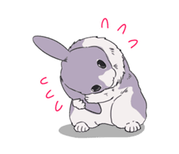 Momo the rabbit! sticker #8355920
