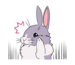 Momo the rabbit! sticker #8355922
