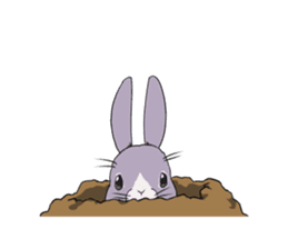 Momo the rabbit! sticker #8355929