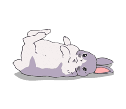 Momo the rabbit! sticker #8355937