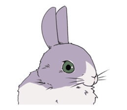 Momo the rabbit! sticker #8355939