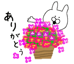 Birthday and a lot of congratulations sticker #8357454