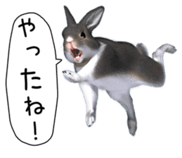 Expressive rabbit sticker2 sticker #8359900