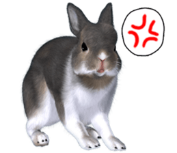 Expressive rabbit sticker2 sticker #8359904