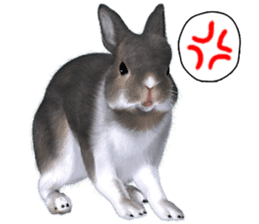 Expressive rabbit sticker2 sticker #8359904