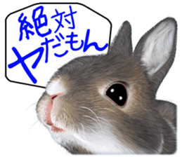 Expressive rabbit sticker2 sticker #8359905