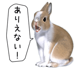 Expressive rabbit sticker2 sticker #8359909